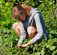 Youn Woman taking care of some plants.