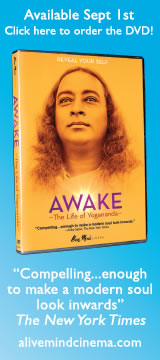 Ad- Awake