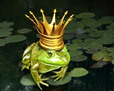 A Prince Frog