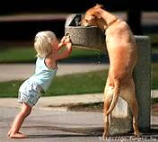 Child and Dog at drinking founden