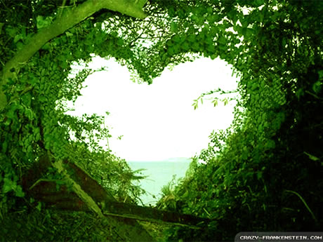 Heart of Trees.