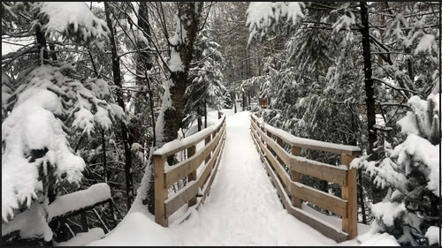 A winter scene in snow with a brigh.