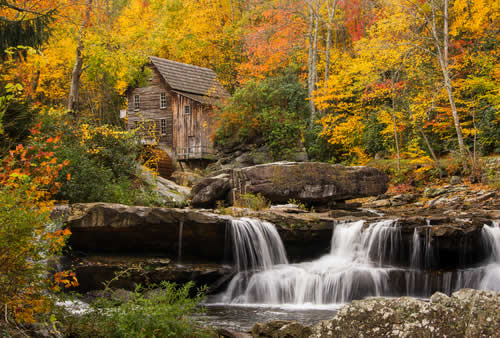 Pastoral Autumn Scene