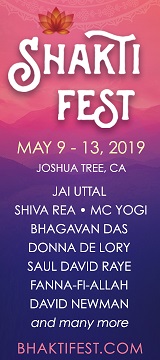 Shakti Fest Ad.