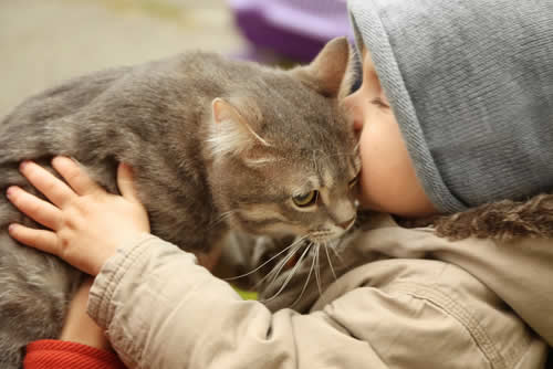 Cat with little boy