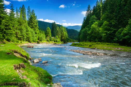 mountain stream