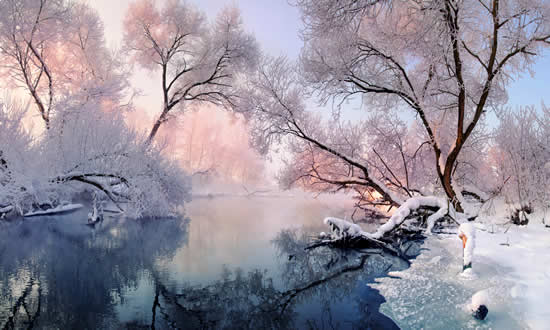 Winter lake scene