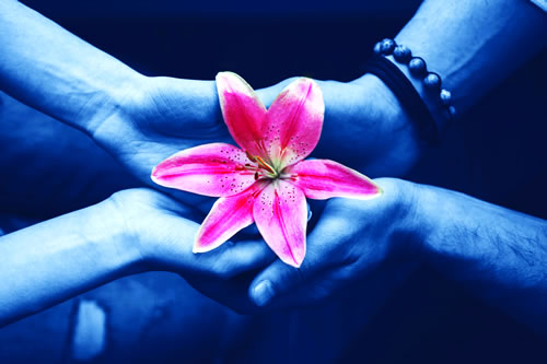 Hands holding a flower