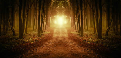 The Light on the Path