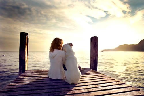 Woman and dog on a pier looking at the sun.