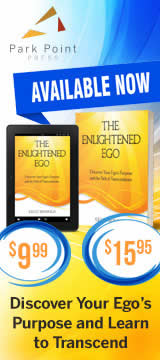 The Inlightend Igo Book ad.