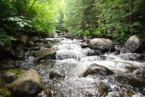 Rocky Stream