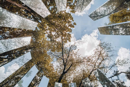 Trees in labyrinth