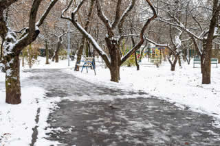 snowy pathway