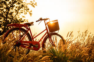 Bike in field