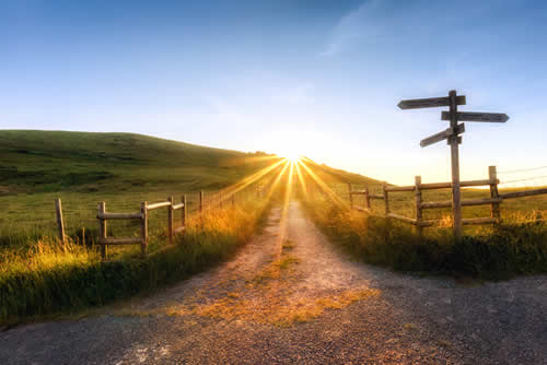 A Path with signpost