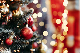 Christmas tree closeup