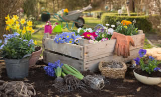 Garden Box