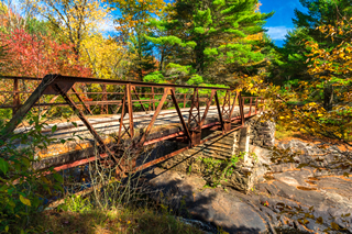 A Bridge in Autumn