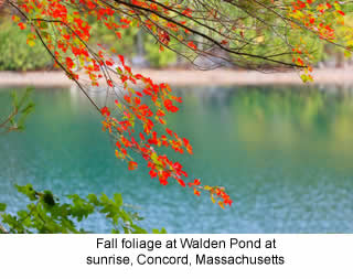 walden pond