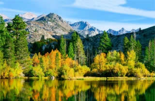 Autumn mountains and forest