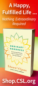 Ordinary Goodness Book Ad