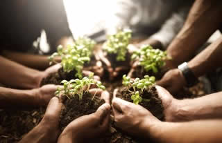 Hands with plants