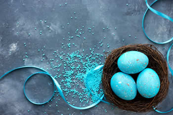 Robins eggs blue